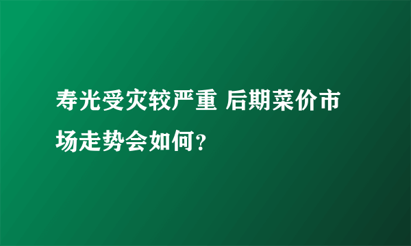 寿光受灾较严重 后期菜价市场走势会如何？