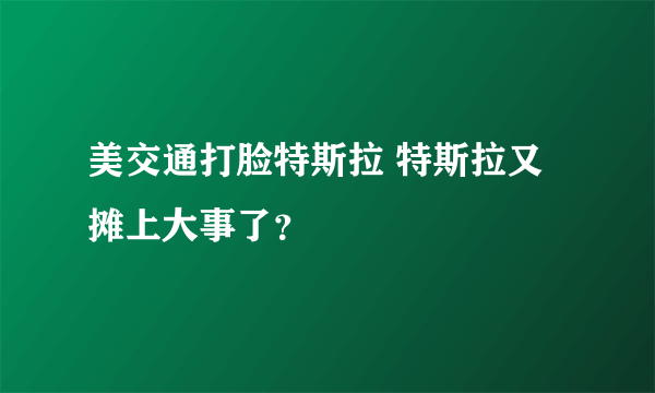 美交通打脸特斯拉 特斯拉又摊上大事了？