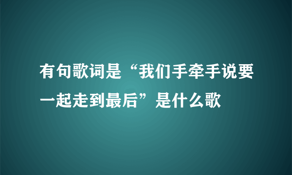 有句歌词是“我们手牵手说要一起走到最后”是什么歌