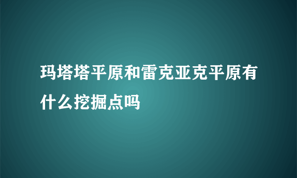 玛塔塔平原和雷克亚克平原有什么挖掘点吗