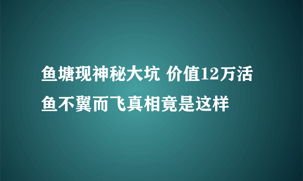 鱼塘现神秘大坑 价值12万活鱼不翼而飞真相竟是这样