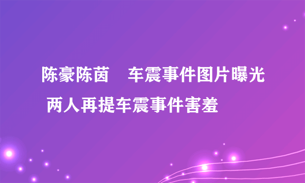 陈豪陈茵媺车震事件图片曝光 两人再提车震事件害羞