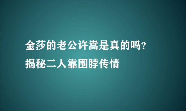 金莎的老公许嵩是真的吗？  揭秘二人靠围脖传情