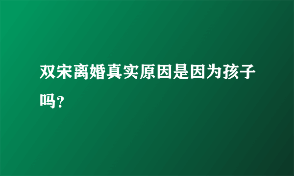 双宋离婚真实原因是因为孩子吗？