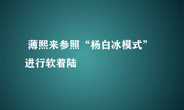  薄熙来参照“杨白冰模式”进行软着陆