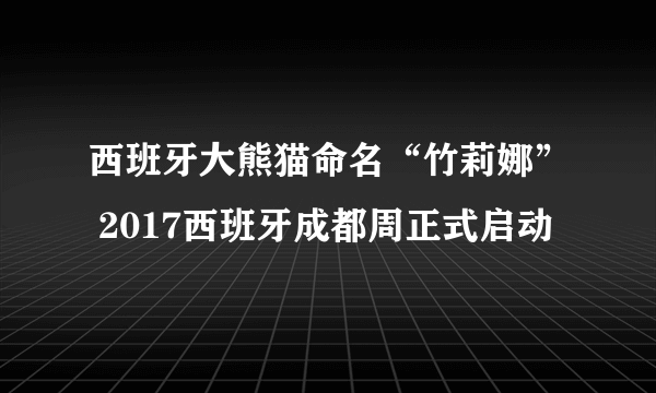 西班牙大熊猫命名“竹莉娜” 2017西班牙成都周正式启动