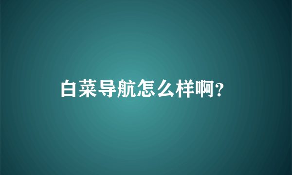 白菜导航怎么样啊？