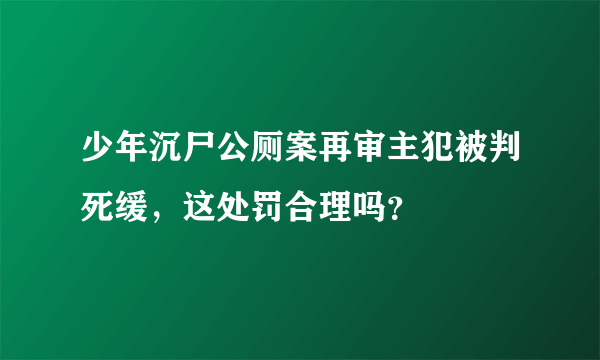 少年沉尸公厕案再审主犯被判死缓，这处罚合理吗？