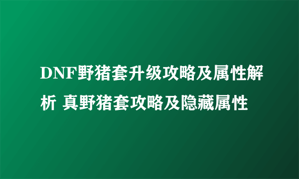 DNF野猪套升级攻略及属性解析 真野猪套攻略及隐藏属性