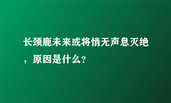 长颈鹿未来或将悄无声息灭绝，原因是什么？