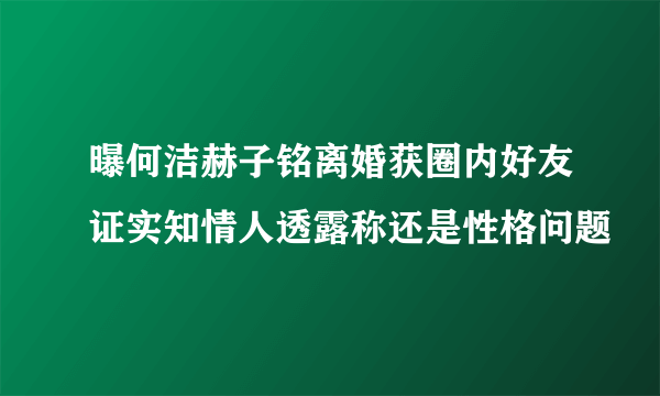 曝何洁赫子铭离婚获圈内好友证实知情人透露称还是性格问题