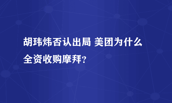 胡玮炜否认出局 美团为什么全资收购摩拜？