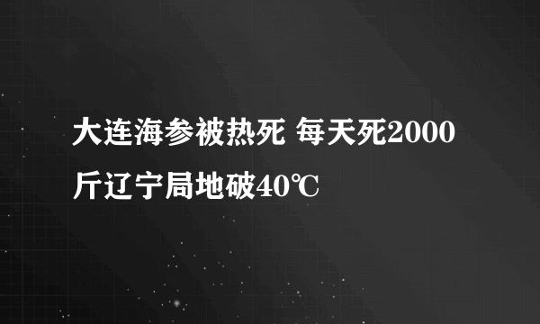 大连海参被热死 每天死2000斤辽宁局地破40℃