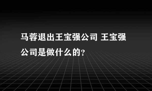 马蓉退出王宝强公司 王宝强公司是做什么的？