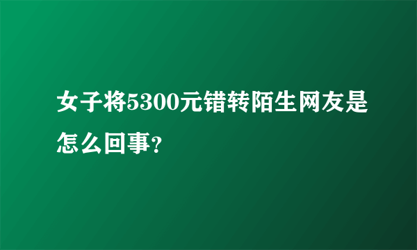 女子将5300元错转陌生网友是怎么回事？