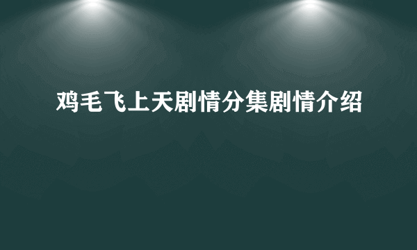 鸡毛飞上天剧情分集剧情介绍