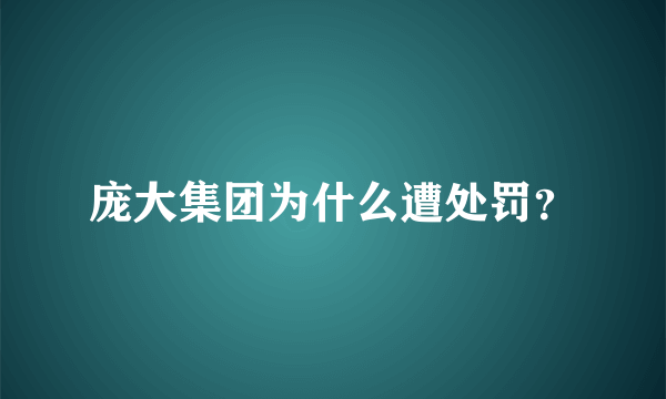 庞大集团为什么遭处罚？