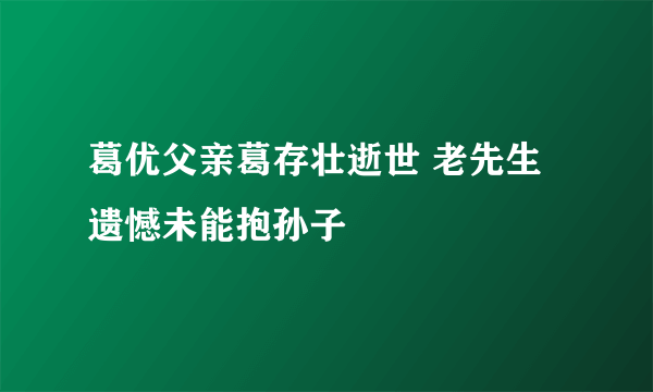 葛优父亲葛存壮逝世 老先生遗憾未能抱孙子