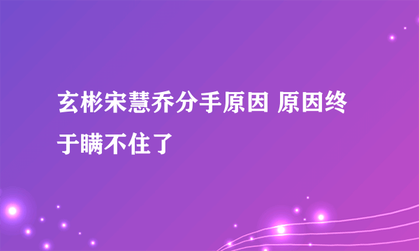 玄彬宋慧乔分手原因 原因终于瞒不住了