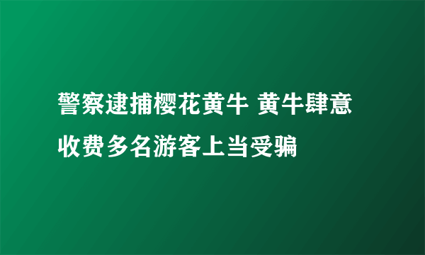 警察逮捕樱花黄牛 黄牛肆意收费多名游客上当受骗