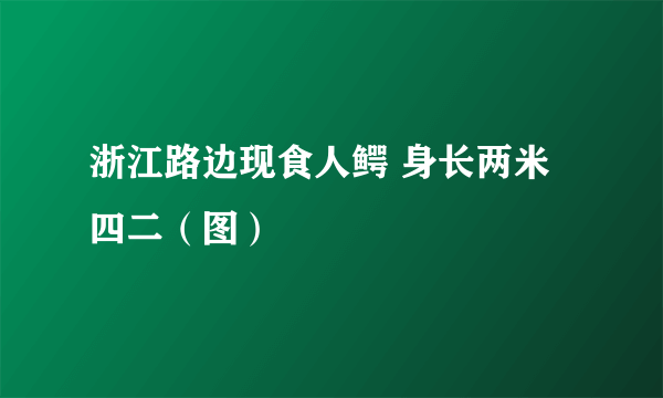 浙江路边现食人鳄 身长两米四二（图）