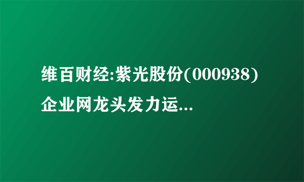 维百财经:紫光股份(000938)企业网龙头发力运营商市场