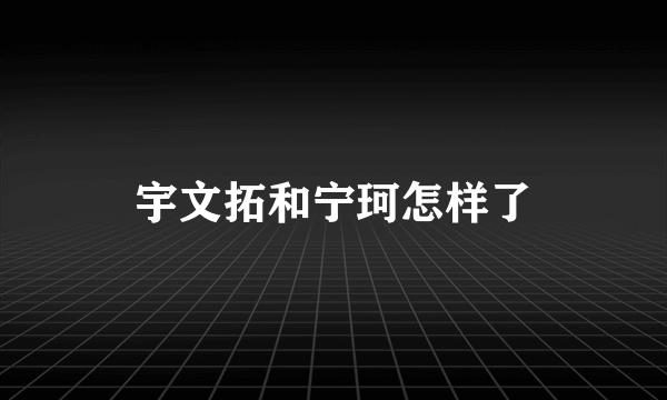 宇文拓和宁珂怎样了