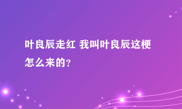 叶良辰走红 我叫叶良辰这梗怎么来的？