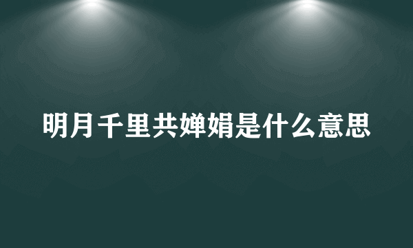 明月千里共婵娟是什么意思