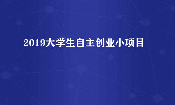 2019大学生自主创业小项目