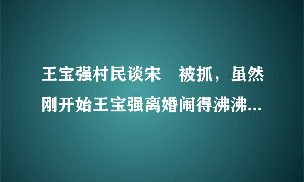 王宝强村民谈宋喆被抓，虽然刚开始王宝强离婚闹得沸沸扬扬的-飞外网