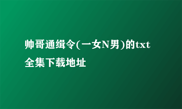 帅哥通缉令(一女N男)的txt全集下载地址