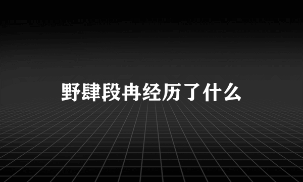 野肆段冉经历了什么