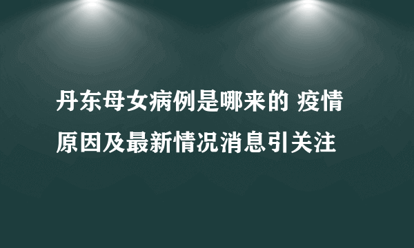 丹东母女病例是哪来的 疫情原因及最新情况消息引关注