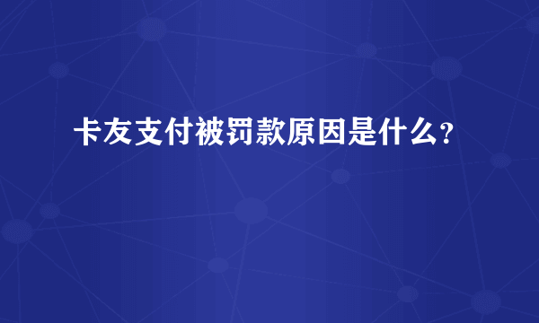 卡友支付被罚款原因是什么？