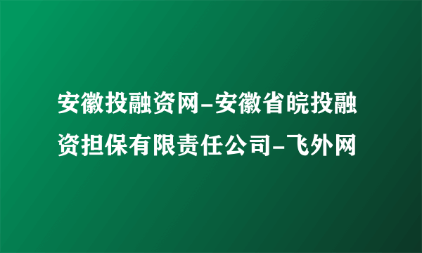 安徽投融资网-安徽省皖投融资担保有限责任公司-飞外网