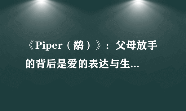 《Piper（鹬）》：父母放手的背后是爱的表达与生命的延续