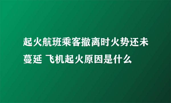 起火航班乘客撤离时火势还未蔓延 飞机起火原因是什么