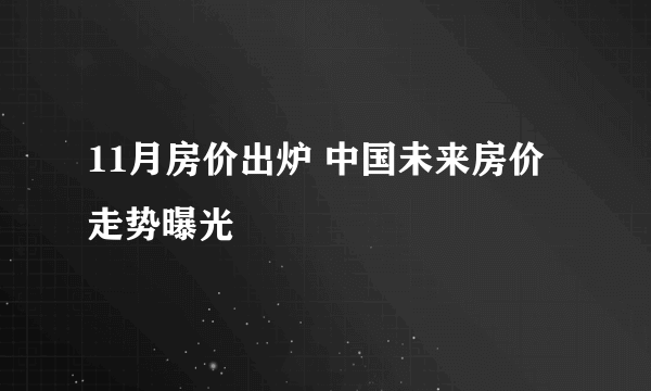 11月房价出炉 中国未来房价走势曝光