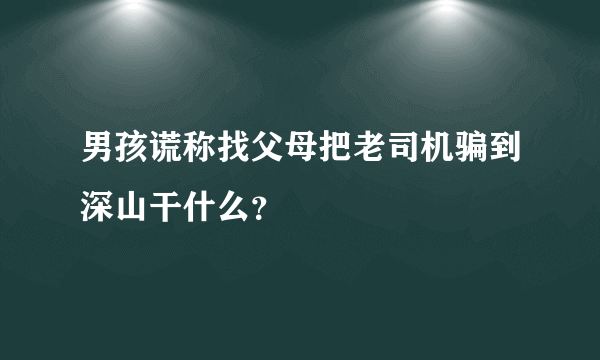 男孩谎称找父母把老司机骗到深山干什么？