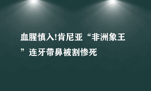 血腥慎入!肯尼亚“非洲象王”连牙带鼻被割惨死