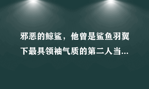 邪恶的鲸鲨，他曾是鲨鱼羽翼下最具领袖气质的第二人当鲨鱼不在场上时正是他_飞外