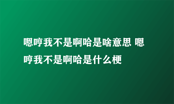 嗯哼我不是啊哈是啥意思 嗯哼我不是啊哈是什么梗