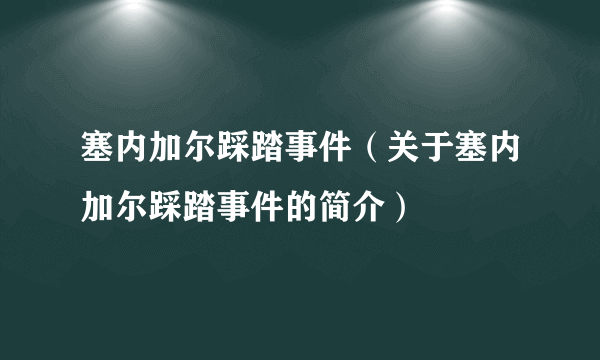 塞内加尔踩踏事件（关于塞内加尔踩踏事件的简介）