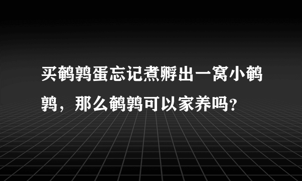 买鹌鹑蛋忘记煮孵出一窝小鹌鹑，那么鹌鹑可以家养吗？