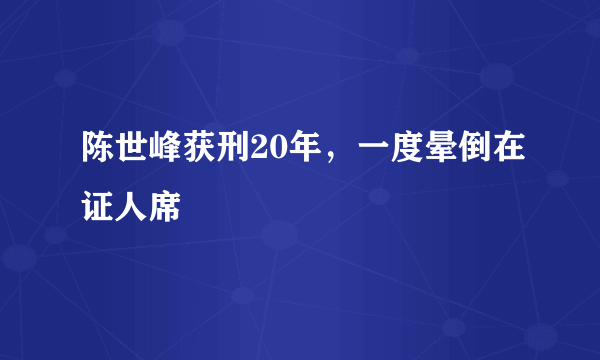 陈世峰获刑20年，一度晕倒在证人席