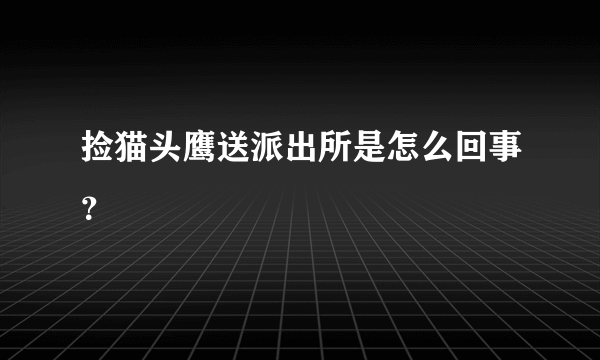 捡猫头鹰送派出所是怎么回事？