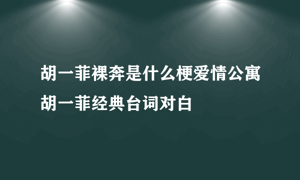 胡一菲裸奔是什么梗爱情公寓胡一菲经典台词对白