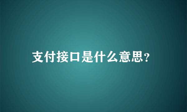 支付接口是什么意思？