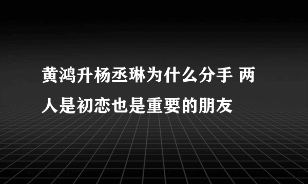 黄鸿升杨丞琳为什么分手 两人是初恋也是重要的朋友